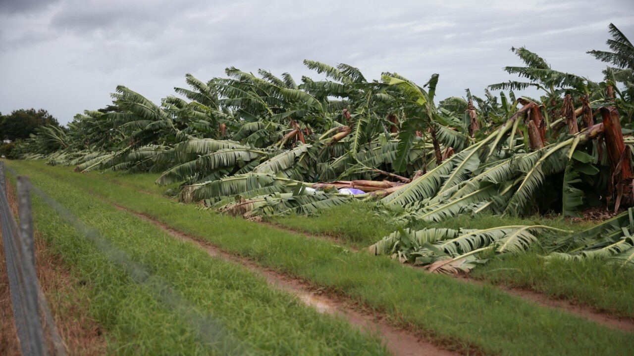 Tropical Cyclone Niran expected to strengthen to Category 3