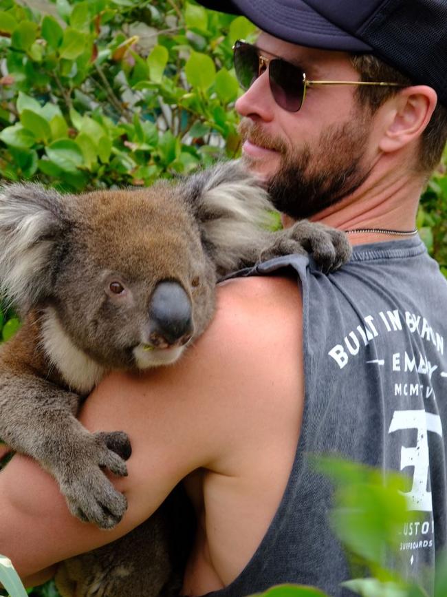 “Koalas, snakes, sea lions, dolphins, check out #kangarooisland, another amazing place to visit in @australia @sealbay @kiwildlifepark @southaustralia.” This post got 1,457,427 likes. Picture: Chris Hemsworth /Instagram