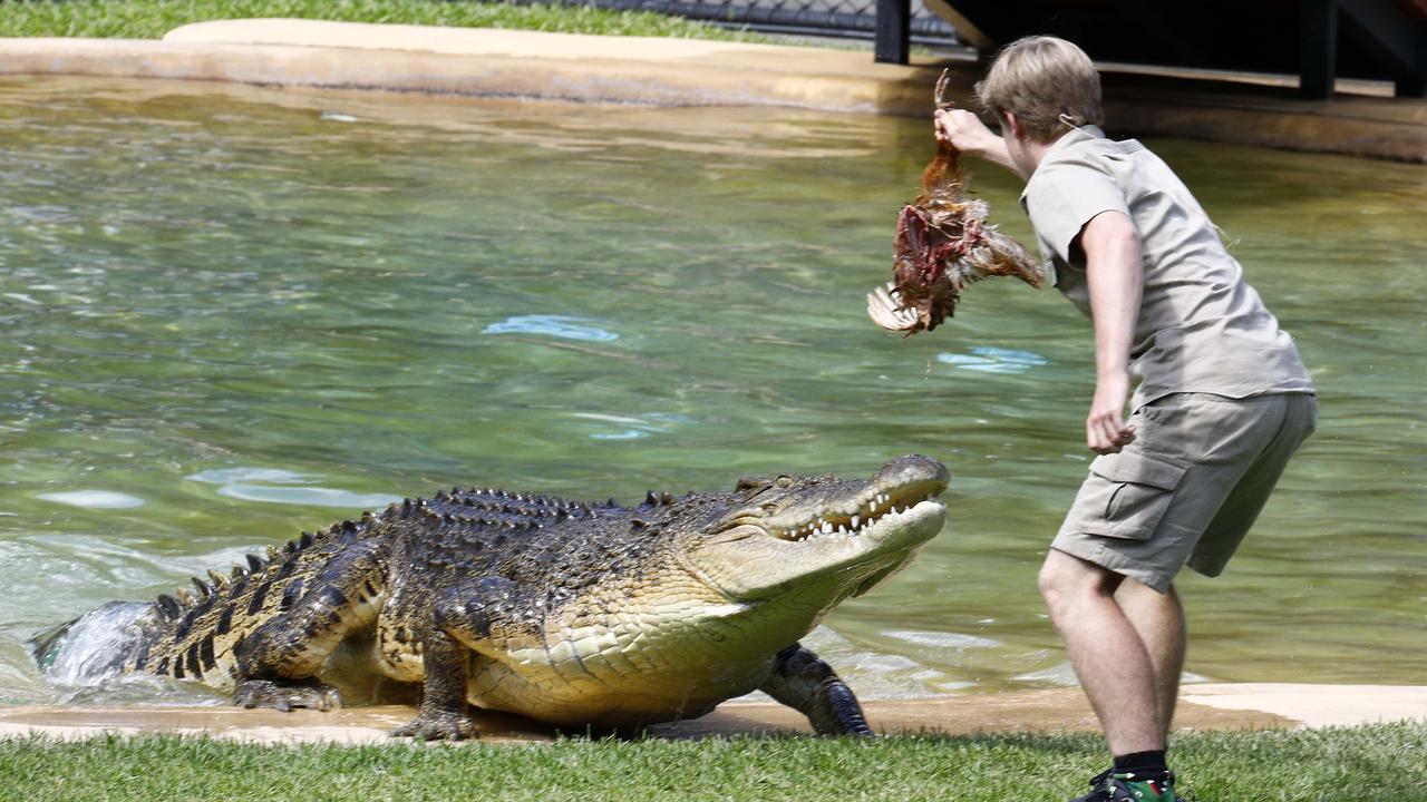 Crocodiles were involved in 25 fatalities over a 20 year period. Picture: NCA NewsWire/Tertius Pickard