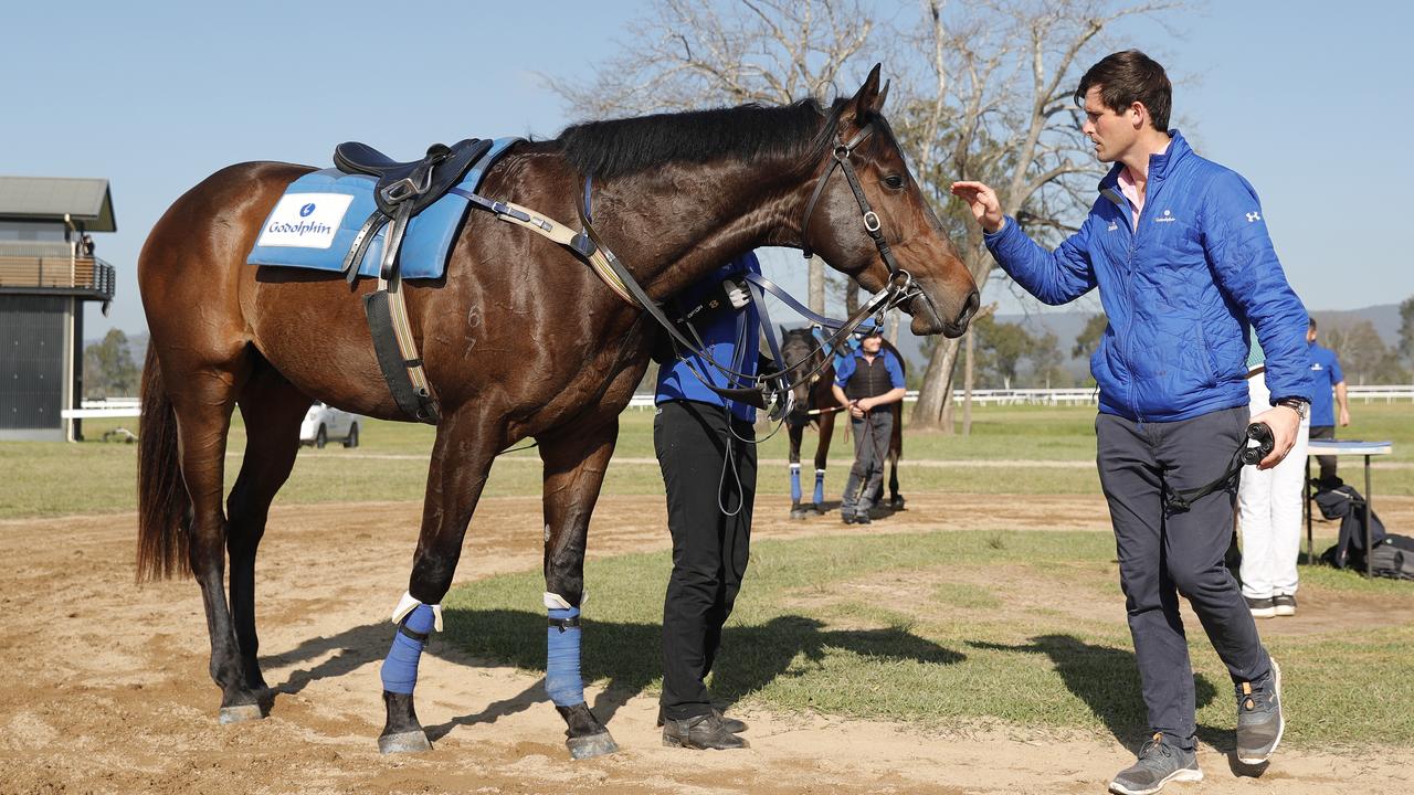 James Cummings Horses In Training at Agnes Banks