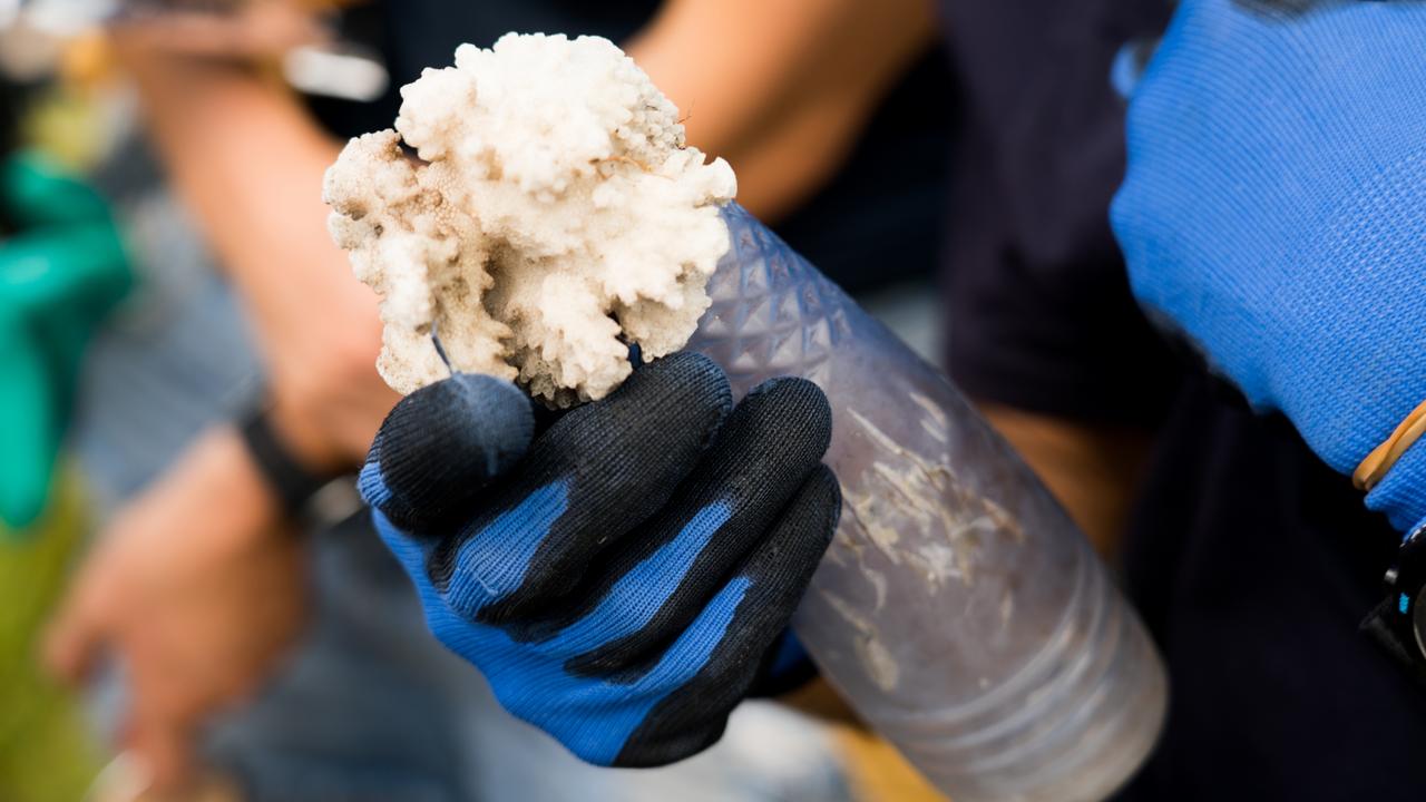 Coral stuck in plastic. Source: Sam Boynton for Corona/Parley/National Geographic