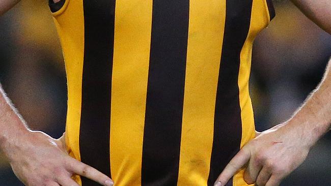 Hawthorn was one of seven clubs fined. Picture: Colleen Petch