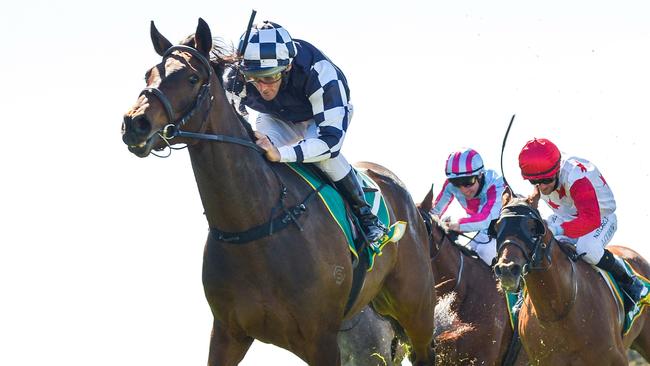 Young Werther will be on trial for a Caulfield Cup start in Saturday’s Group 1 Turnbull Stakes at Flemington. Picture: Racing Photos via Getty Images