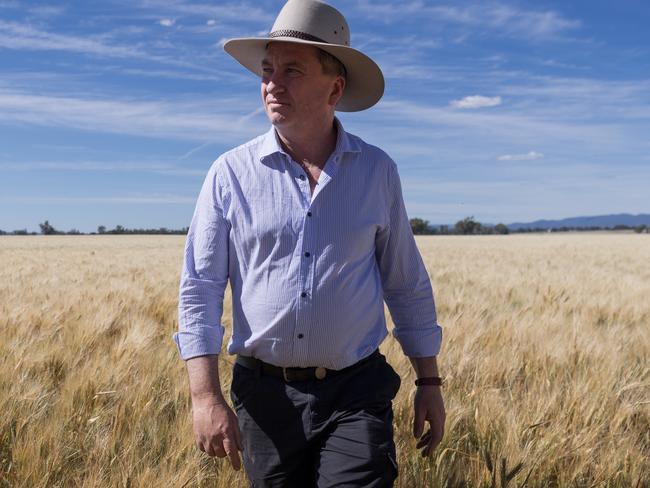 Barnaby Joyce while on the campaign trail in October. PictureL Perry Duffin