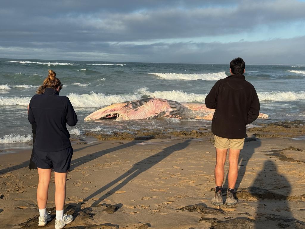 Keen beachgoers and swimmers have been urged to avoid the area. Picture: Steve Arklay