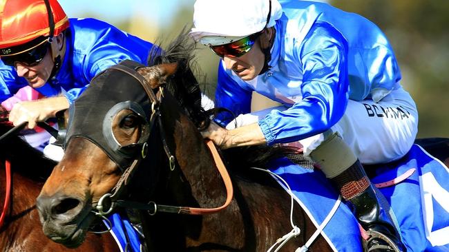Warwick Farm races