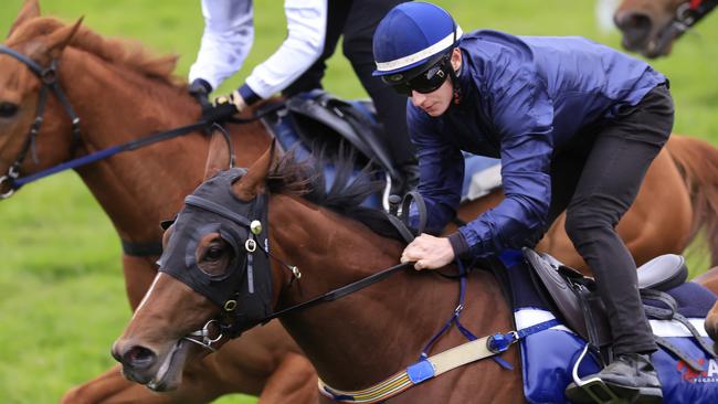 SYDNEY, AUSTRALIA - AUGUST 12: James McDonald on Best Of Bordeaux wins heat 1 during barrier trials at Rosehill Gardens on August 12, 2022 in Sydney, Australia. (Photo by Mark Evans/Getty Images)