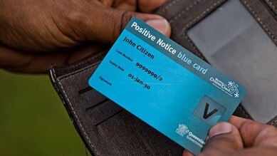 The Queensland opposition says the investigation has raised ‘serious questions’ about the effectiveness of the Blue Card system. Picture: Supplied