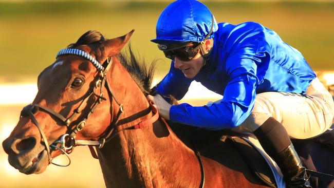 Magic Hurricane is good value to win The Metropolitan for the second straight year. Picture: Mark Evans