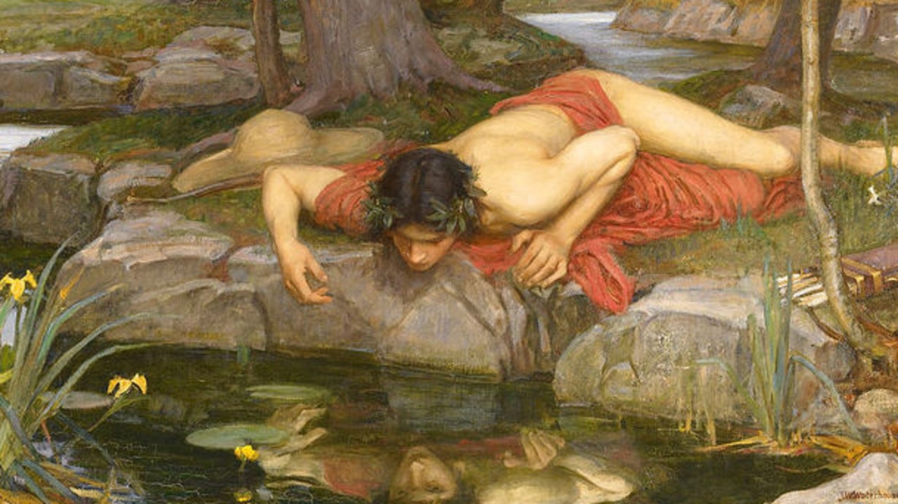 An artwork of Narcissus staring at his own reflection.