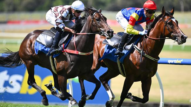 Magic Time (left) during an exhibition gallop at Sandown last month as she prepares for the Newmarket Handicap at Flemington. Picture: Getty Images.