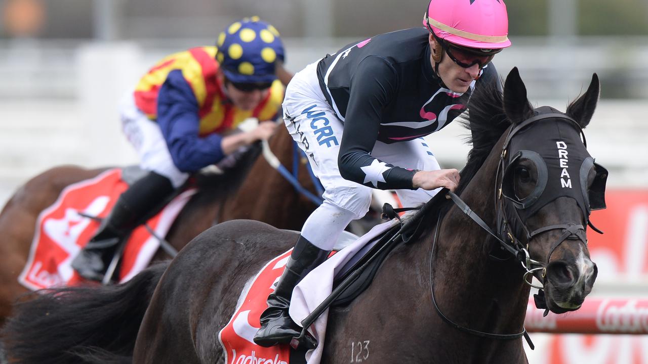 Doomben races; Mr Sneaky faces tricky first-up test in Ascot Handicap ...