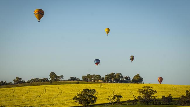 Competitors ready their balloons for the National Ballooning Championships 2017 held at the Western Australian wheat belt town of Northam, WA.