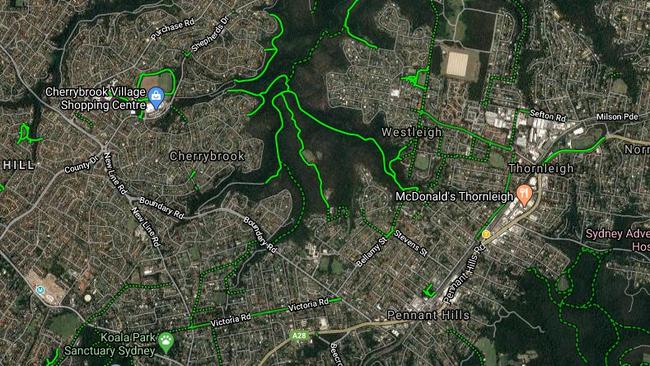 Areas such as Cherrybrook and West Pennant Hills are suburbs likely to be affected by expanded vegetation mapping.