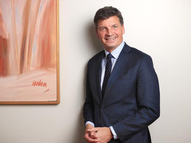 Angus Taylor, Minister for Energy and Emissions Reduction. Picture: John Feder