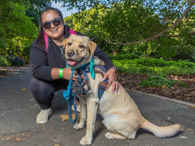 RSPCA SA's Million Paws Walk in Adelaide on May 25, 2025. Picture: Ben Clark