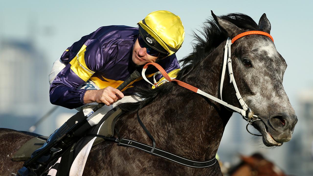 Horse Racing at Flemington, Race 8 - Bobbie Lewis Quality 1200m, Dwayne Dunn onboard Chautauqua wins, 13th September 2014. Picture : Colleen Petch.