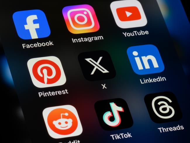 Today’s youth and young adults are being subjected to a “steaming garbage tip” akin to an “effluencer epoch” on social media platforms.
