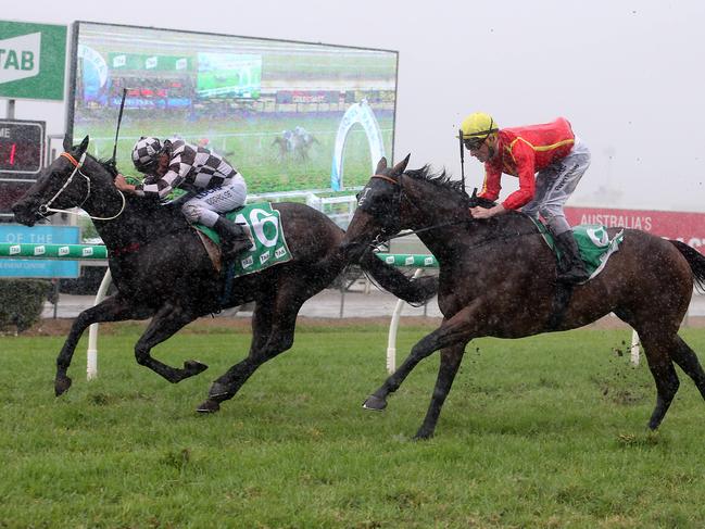 Racing at Gold Coast Turf Club. Winner of race number 4 PEPPINO. Jockey was Jarrod Woodhouse, trainer is John Smerdon. Picture by Richard Gosling