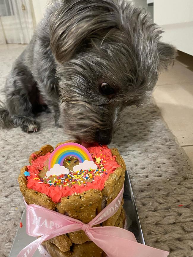 Bella O’Sullivan enjoying her birthday cake from Scruffies. Picture: Laura O'Sullivan