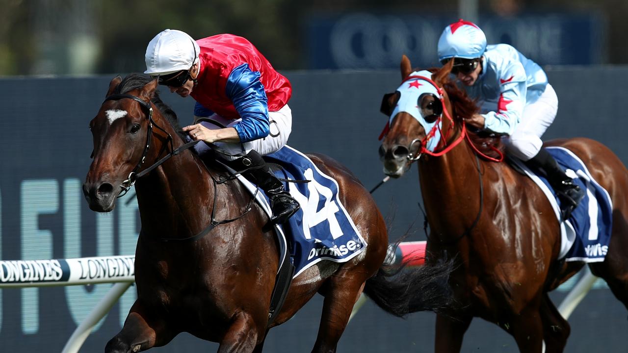 Adrian Bott Picks Riodini As The Stable's Best Chance In The Ingham