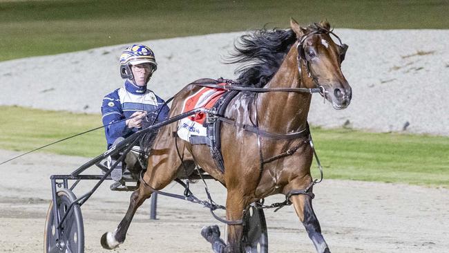 The Highlight Reel is one of five runners from the Emma Stewart and Clayton Tonkin in the $250,000 Nutrien 2YO colts and geldings final on Saturday night. Picture: Stuart McCormick