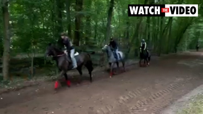 Melbourne Cup winner Verry Elleegant at Chantilly trackwork in France