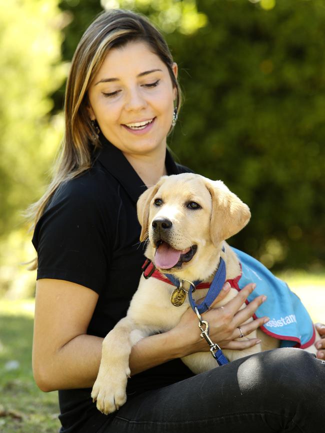 Assistance dog trainer Fran Diogo says families are needed to raise puppies such as Ceejay. Picture: Justin Lloyd