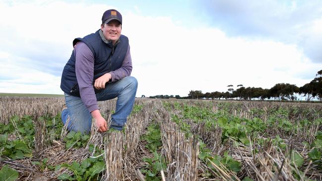 Farmers and agronomists taking a look at two farms in the Streatham area, one belonging to Scott Blurton and the other Myles Reid. Pictured is Kurt Miller, Scott Blurton's farm hand PICTURE: ANDY ROGERS