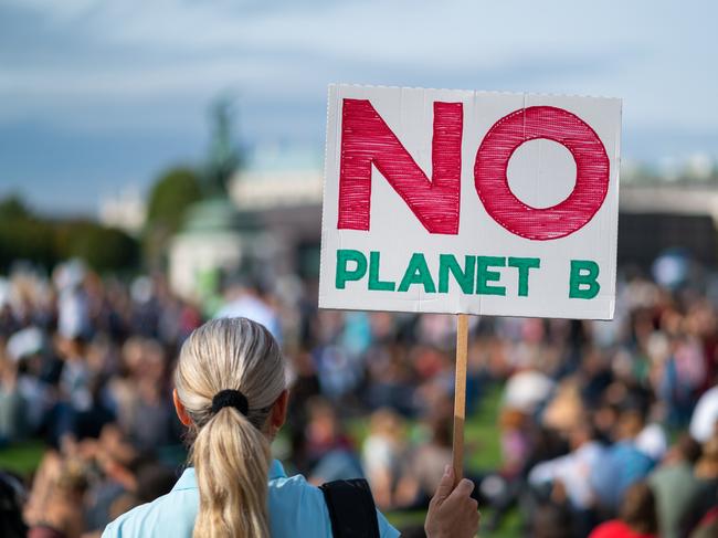 rear view woman at climate change protest fridays for future holding no planet b sign in front of big crowd at demonstration, shallow focus, background blurred