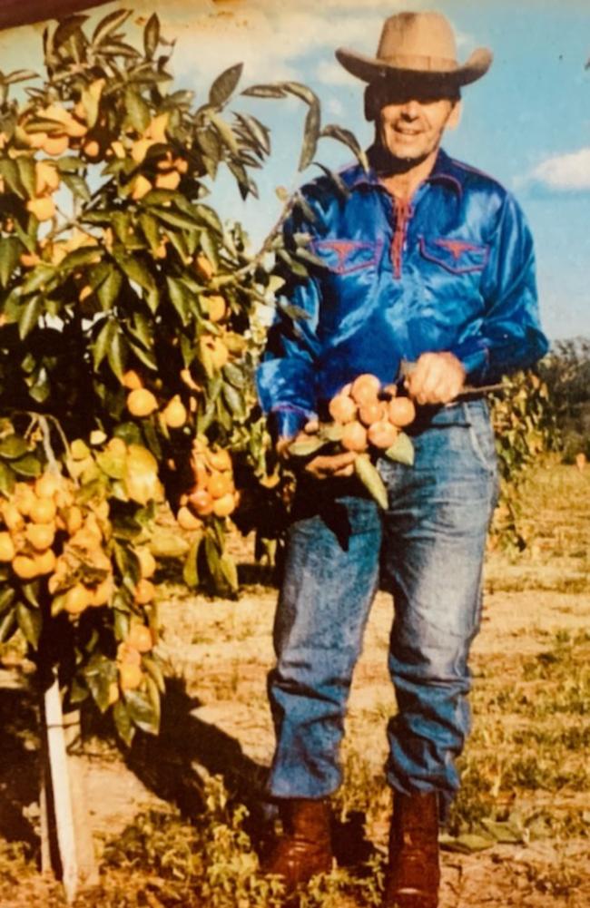 Pelican Waters man Mario Fais holding persimmons at his Morayfield farm.