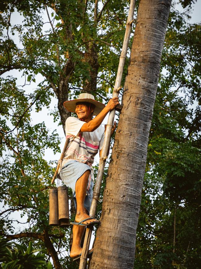 Uncle Ry, the village’s 72-year-old palm sugar harvester