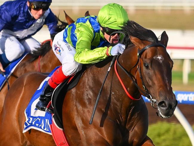 Magarten ridden by Craig Williams wins the Drouin & District Community Bank BM64 Handicap at Sportsbet Pakenham on February 15, 2024 in Pakenham, Australia. (Photo by Morgan Hancock/Racing Photos via Getty Images)