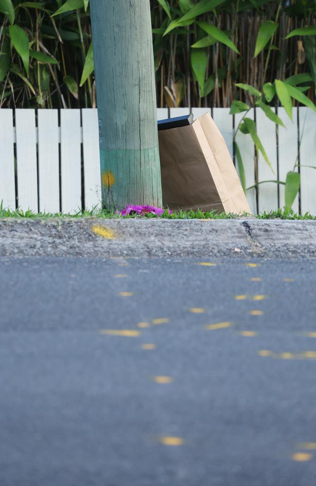 The scene of the incident at Bushmead Street in Nerang. Picture Annette Dew.