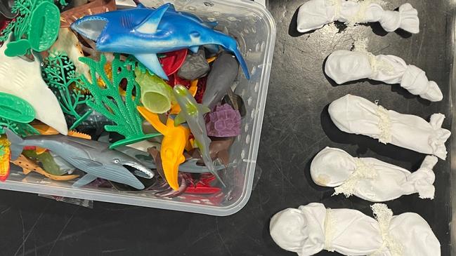 Bichuan Zhang was jailed for 28 months on Friday for attempting to smuggle 43 native reptiles out of the country via Australia Post. The 32-year-old packaged the animals up in parcels containing children’s toys in a bid to avoid detection. Picture: DCCEEW