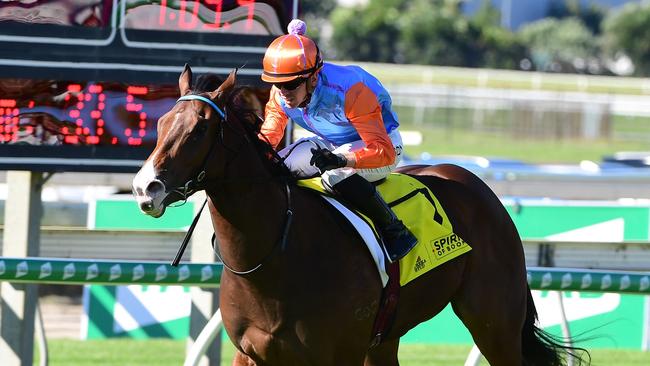 Prince Of Boom had little luck in his first-up run. Picture: Trackside Photography