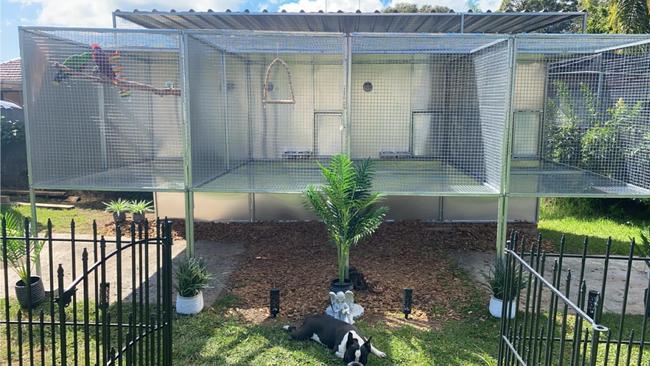 Hayley is allowed to keep 54 pets in her Ermington home.
