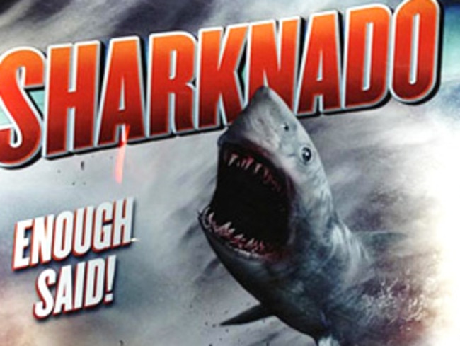 A poster for &lt;i&gt;Sharknado&lt;/i&gt; ... “The whole concept is absurd,” says Reid.