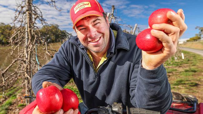 Noel Mason from AG &amp; HC Mason has been named Grower of the Year in the Apple and Pear Australia Limited Awards of Excellence. Picture: Russell Millard