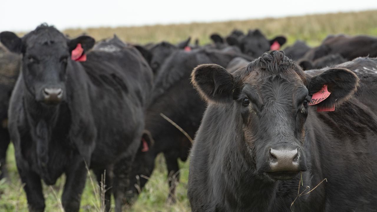 Revealed: How Victorian farmland values have fallen this year