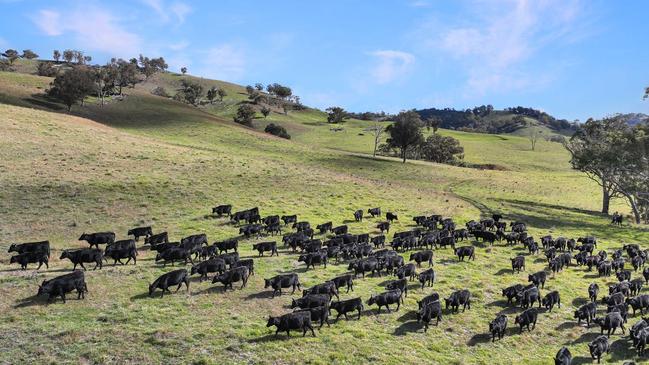 The Caskey family sold Fernleigh after three years of ownership.