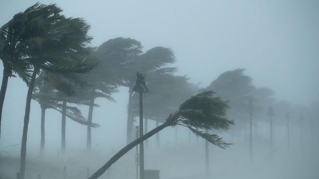 Trees bend in the tropical storm wind along North Fort Lauderdale Beach Boulevard. Picture: AFP