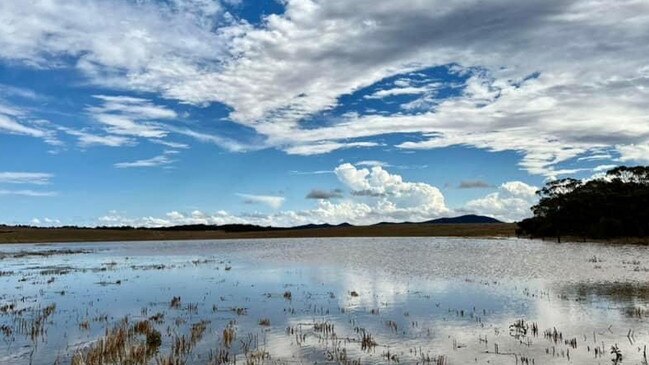 Flooded farmland near Kimba. Pictures: Tara Kenny