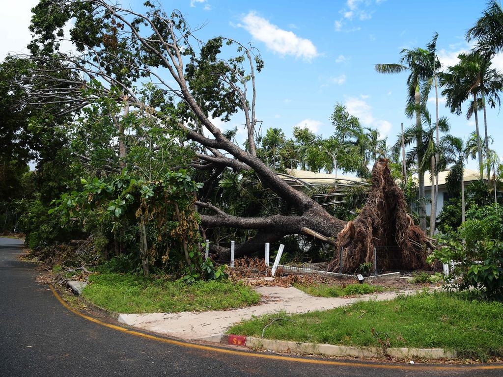 Cyclone Marcus Damage bill shows recovery coming to an end | NT News