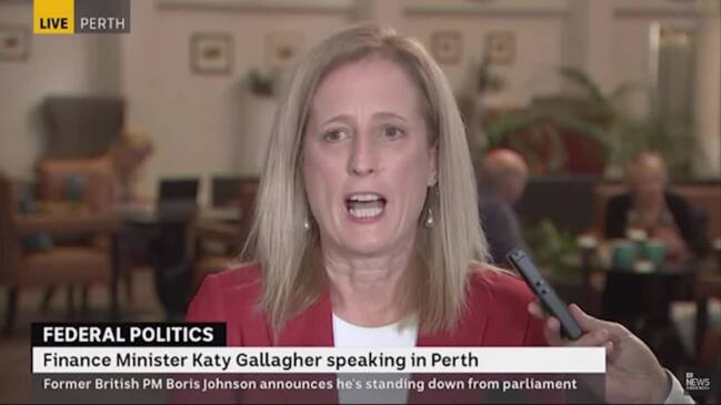 Gallagher breaks silence on Higgins claim (ABC)