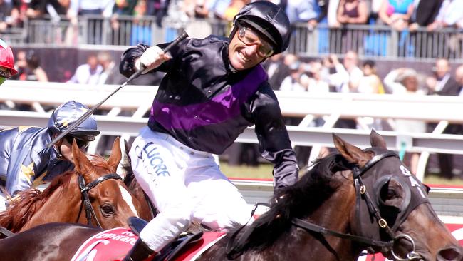 Damien Oliver steered Fiorente to victory in the 2013 Melbourne Cup. Picture: Wayne Ludbey