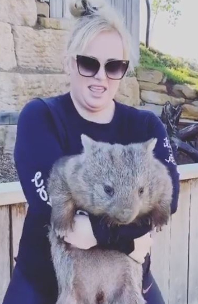 The actress held the 15 kg wombat to her chest as she completed 12 squats. Picture: Instagram.