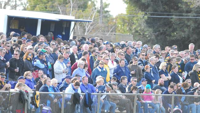 The crowd at Glenelg Oval near where “Snout’s Louts” gather. Picture: Chris Walls