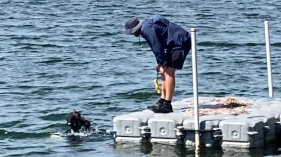 Police divers join in the search for Ms Sleeman in the lake behind her Gold Coast home.