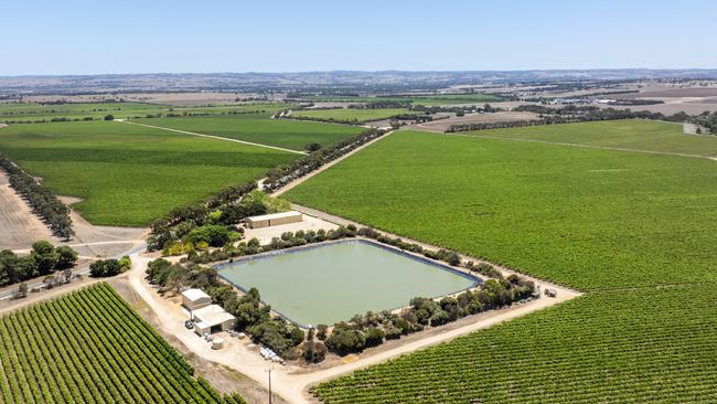 The vineyards are located between Langhorne Creek and Strathalbyn. Picture: CBRE